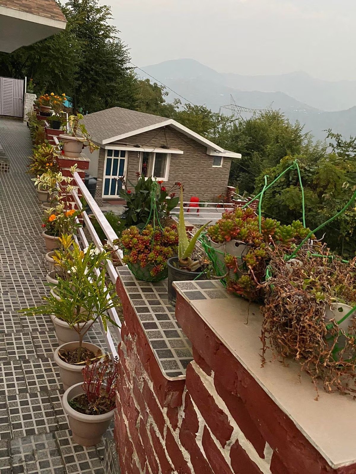 Garden walkway