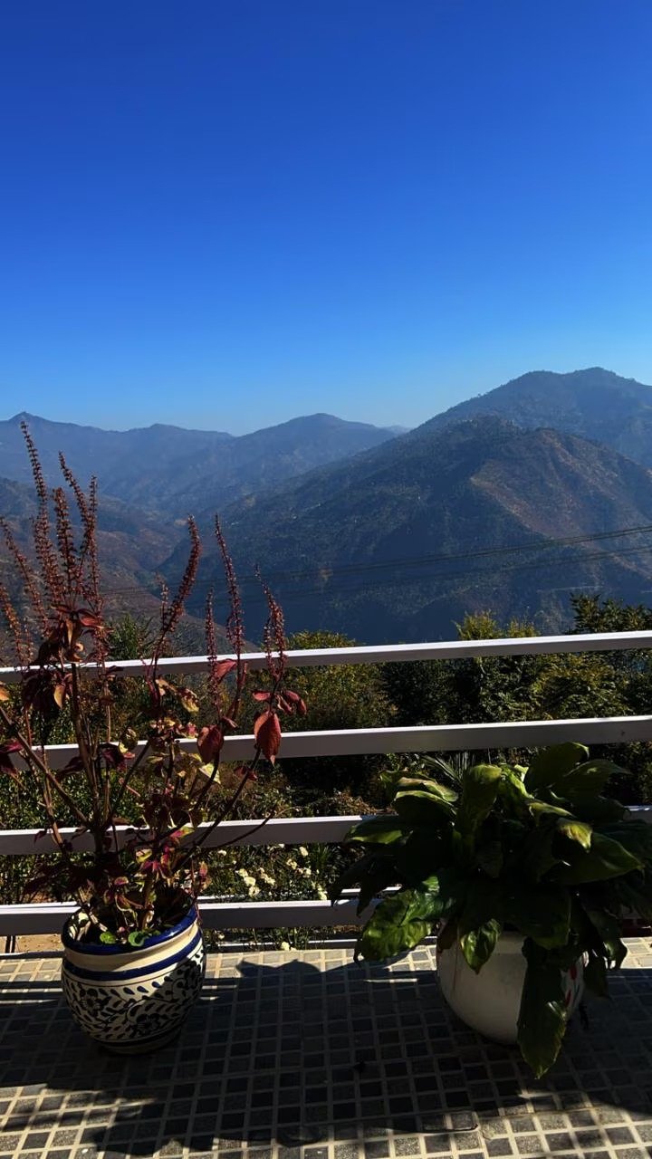 Mountain terrace
